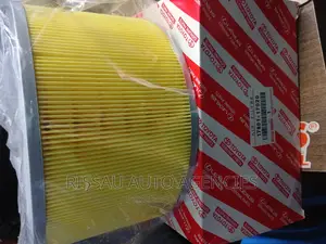Toyota Genuine Air Filter 17801-17020 for HDJ 100 and LX450.