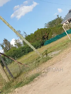 Kitengela Acacia