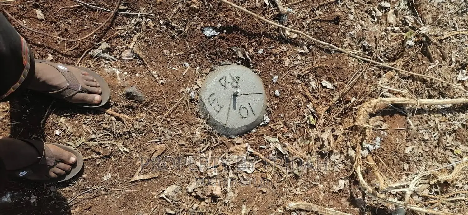 Muigai Kitengela