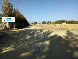 Quick Sale of 1⁄8 Acre Plots in Kitengela Around Saitotis