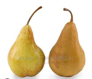 The Bosc Pear Seedlings. Moq 5. - thumbnail 2