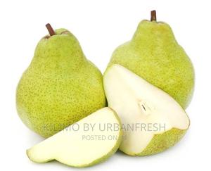 Green Anjou Pear Seedlings. Moq 5. - thumbnail 2