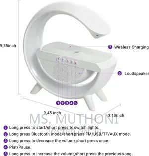 Intelligent Wireless Blue Tooth Music System