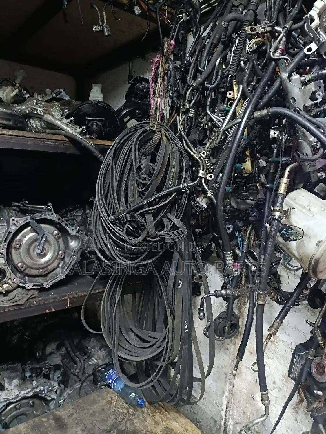 Timing Belts