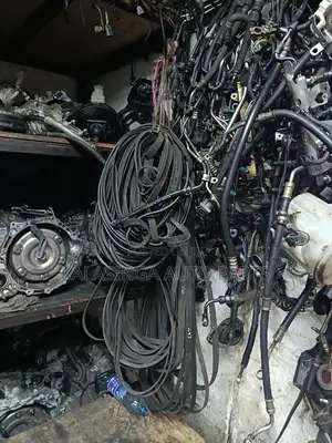 Timing Belts