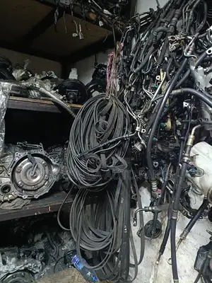 Timing Belts