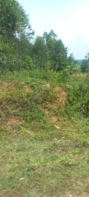 Busia Bugeng'i Site - thumbnail 2