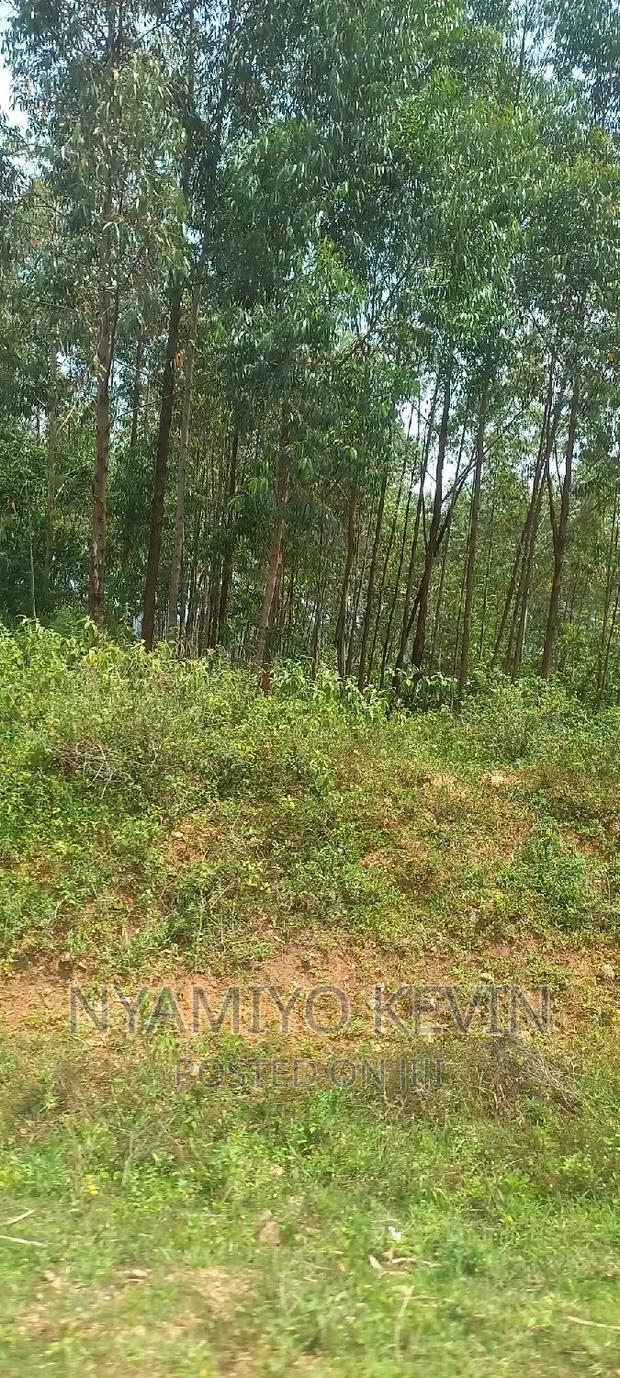 Busia Bugeng'i Site - thumbnail 3