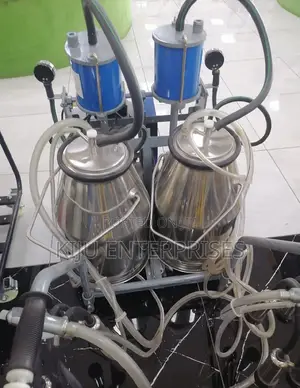 Double Milking Machine Available
