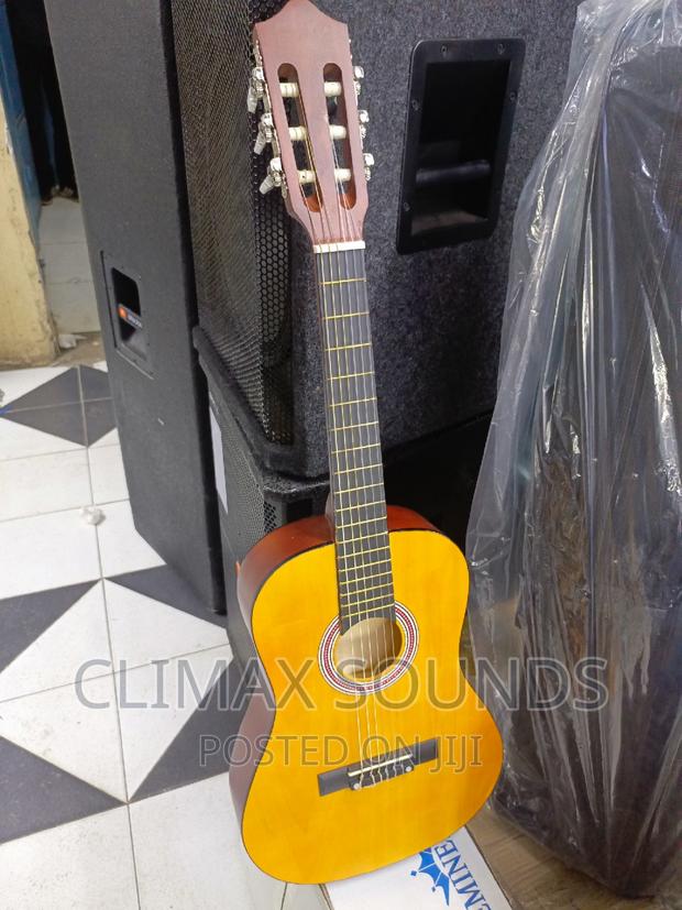 Classical Guitar Size 38 Inc;; - main view