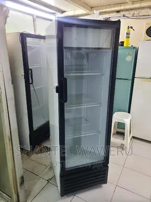 Display Fridge 300 Litres