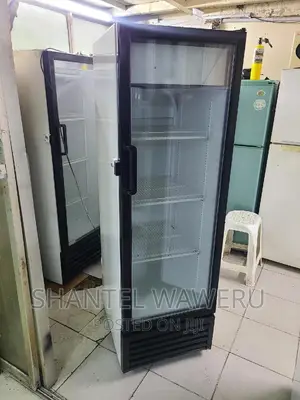 Display Fridge 300 Litres