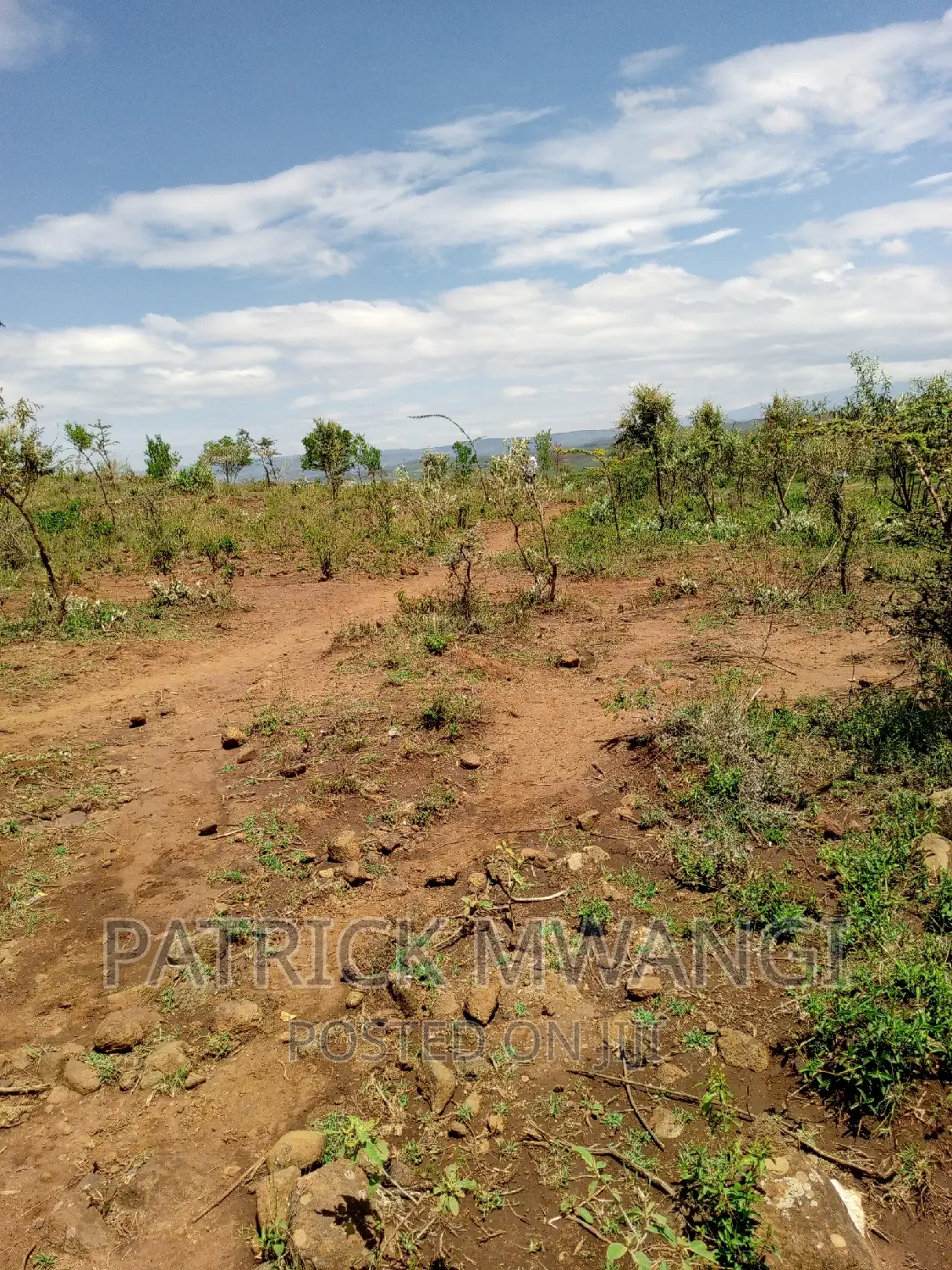50*100 M Kopa Plots
