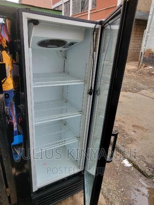 Display Fridge 400L Chiller - main view