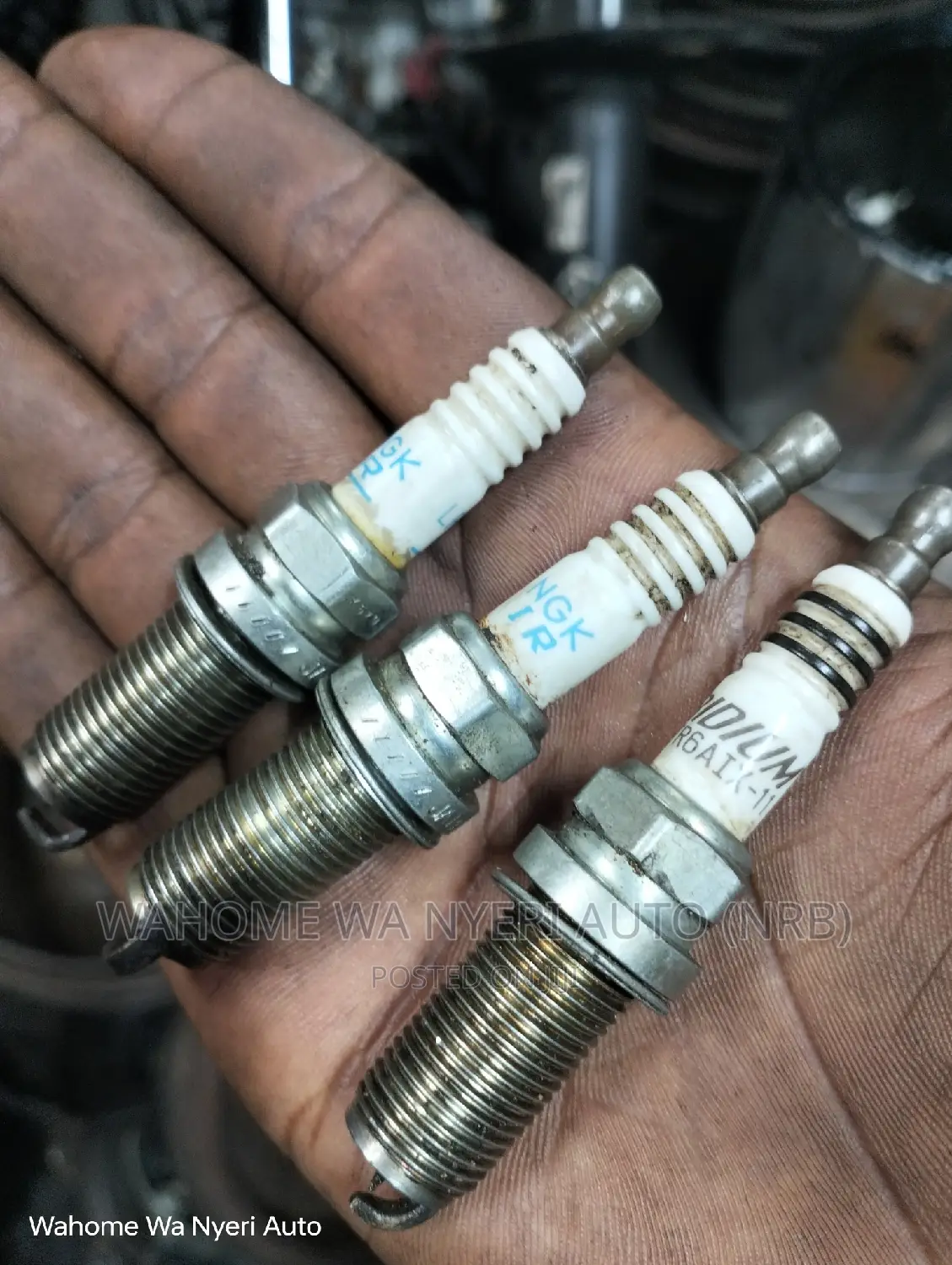 Genuine Ex Japan Plugs