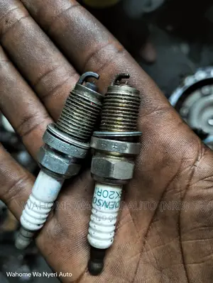 Genuine Ex Japan Plugs