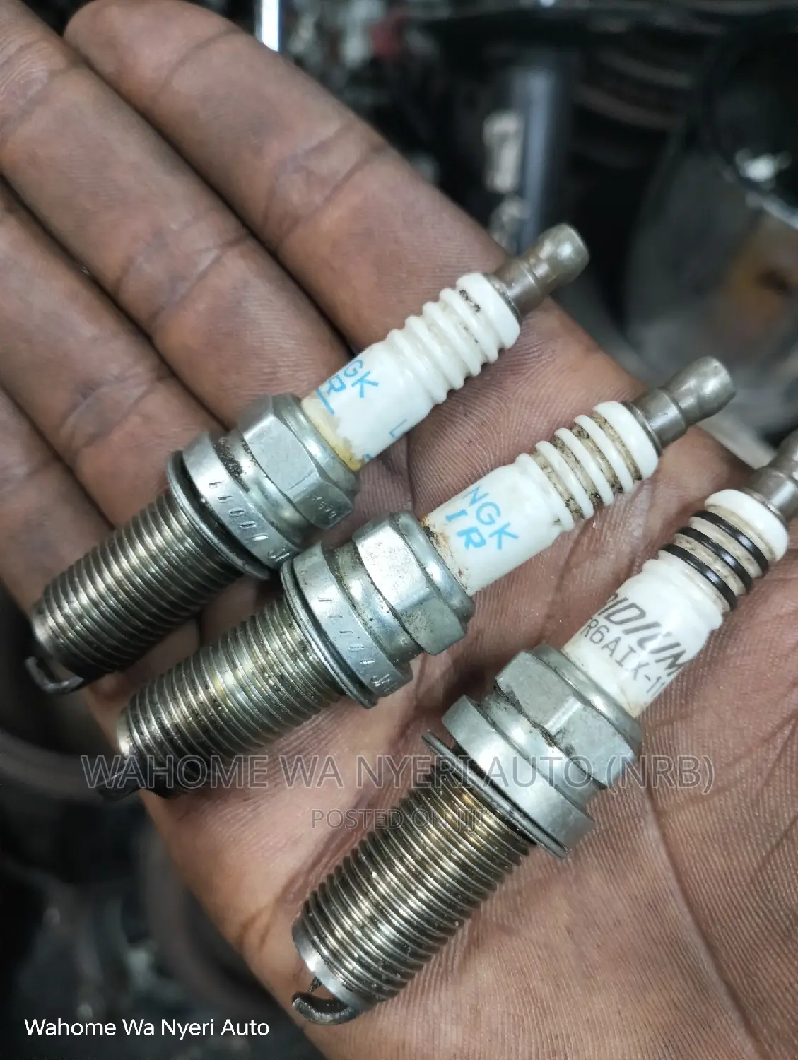 Genuine Ex Japan Plugs