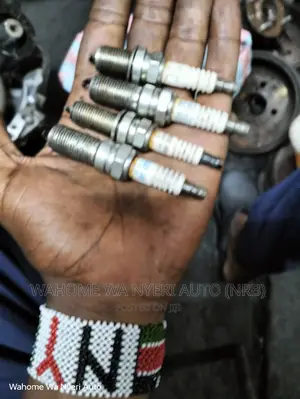 Genuine Ex Japan Plugs