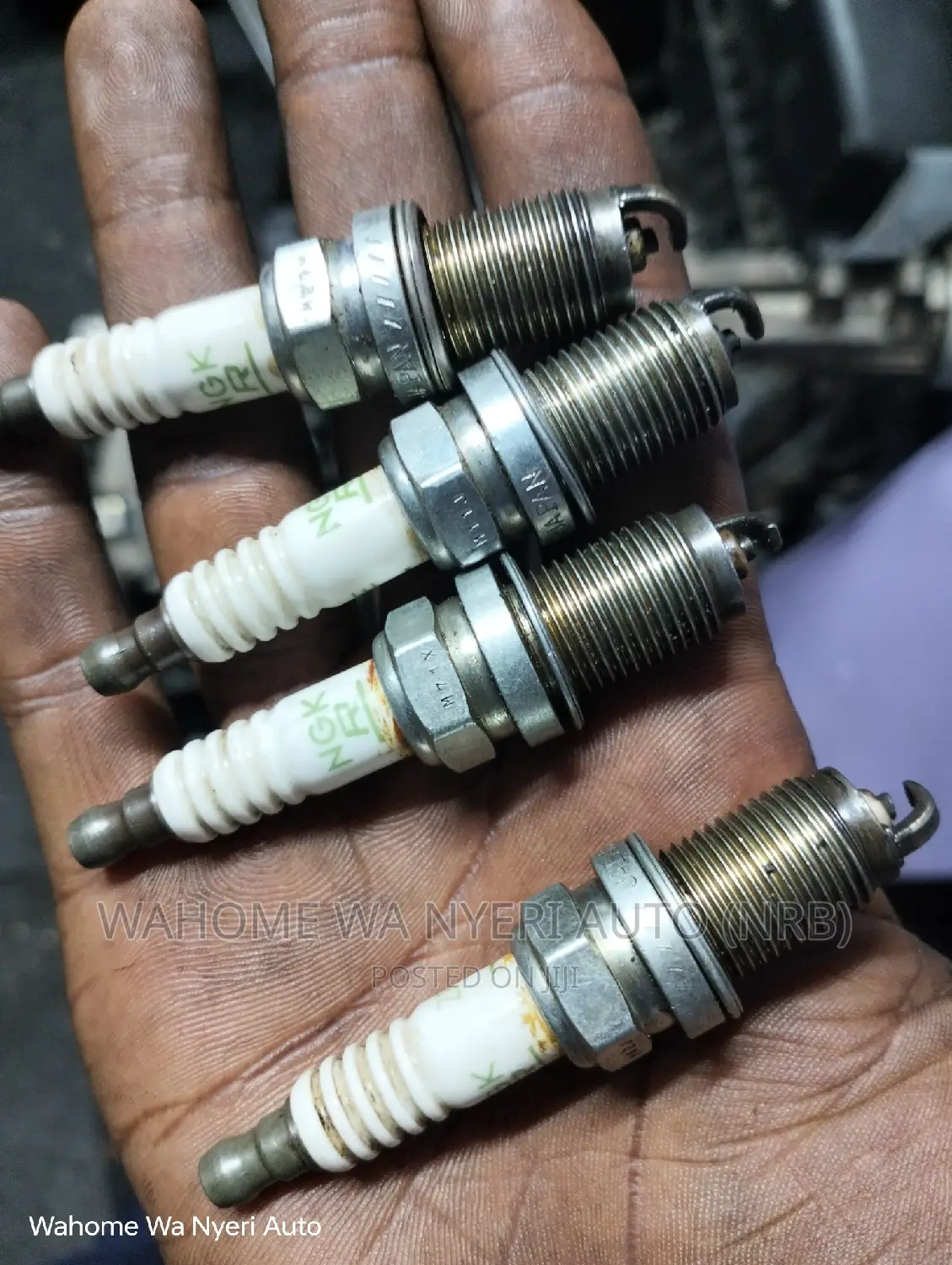 Genuine Ex Japan Plugs