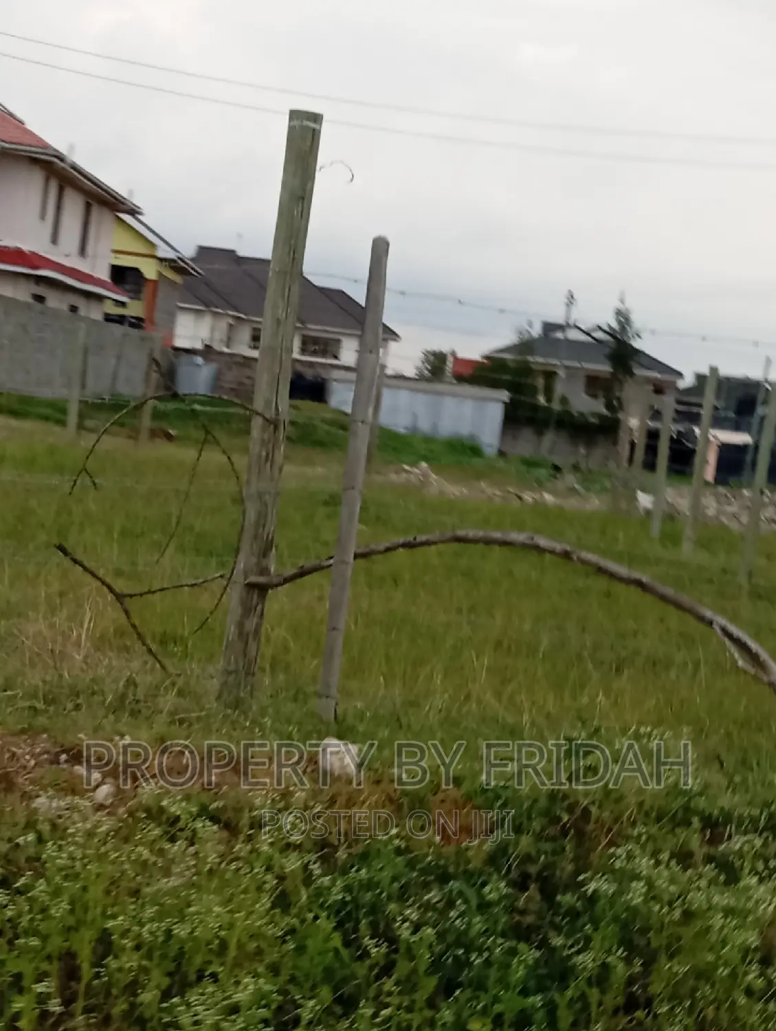 50/100 Plots for Sale in Kitengela Muigai