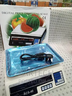 ACS-40 Digital Price Computing Scale Without Arm