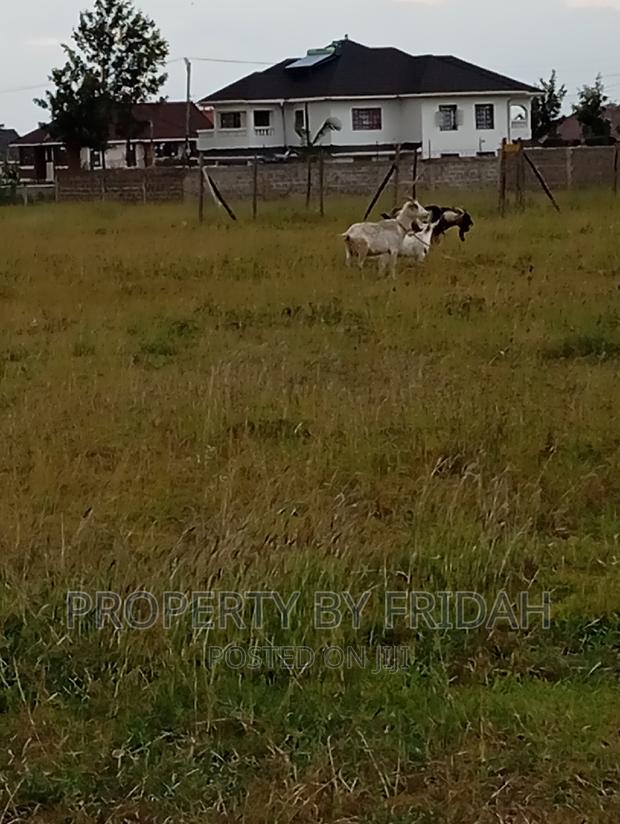 Acacia Kitengela Plots - thumbnail 2