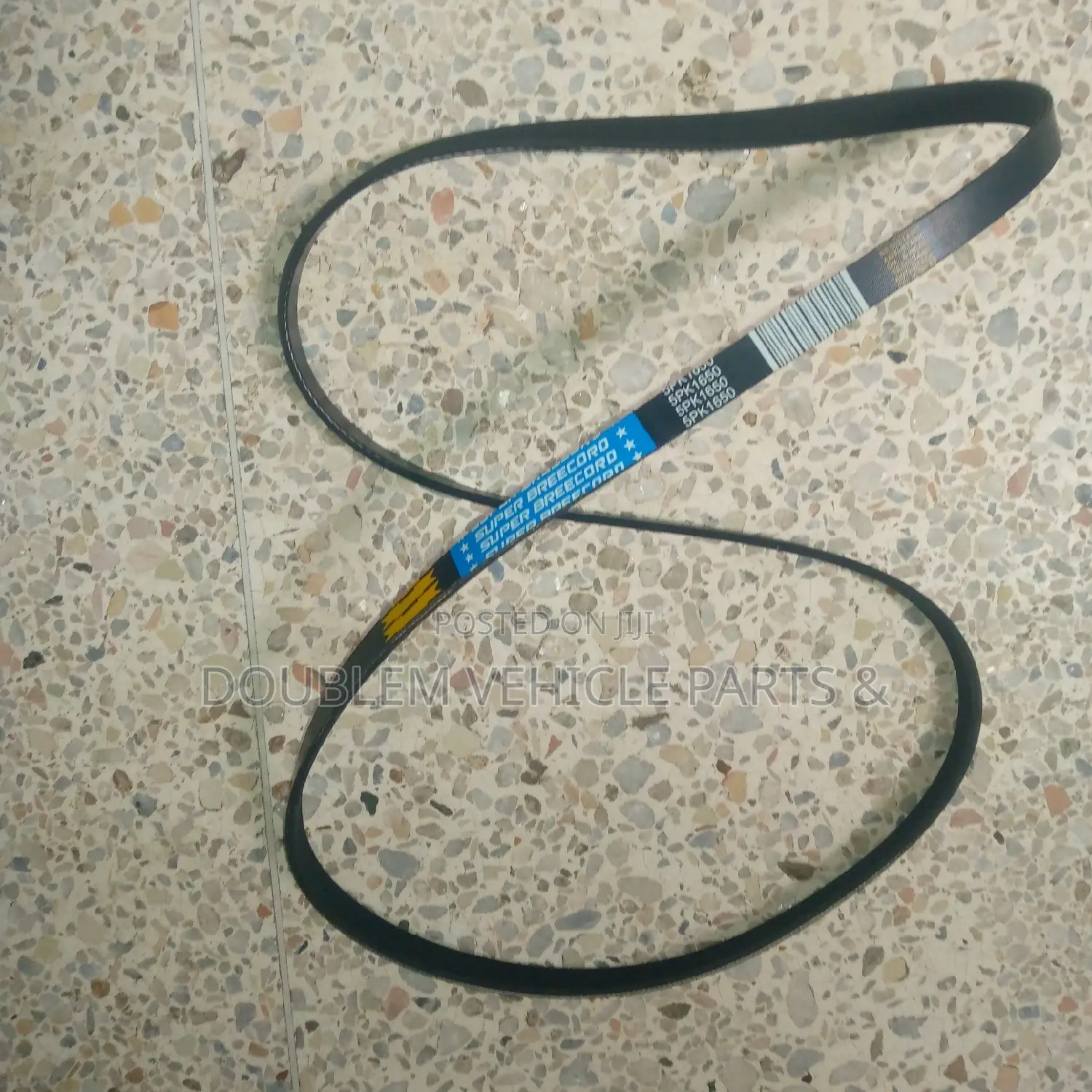 Fan Belt 5PK 1650/Timing Belt/Power