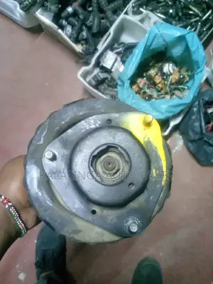 Shock Noah Voxy