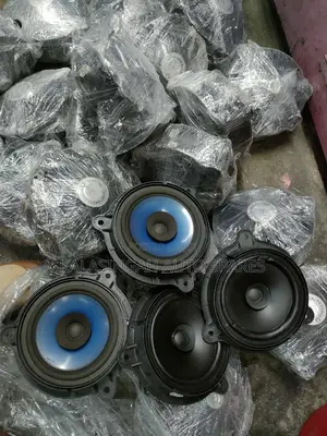 Door Speakers