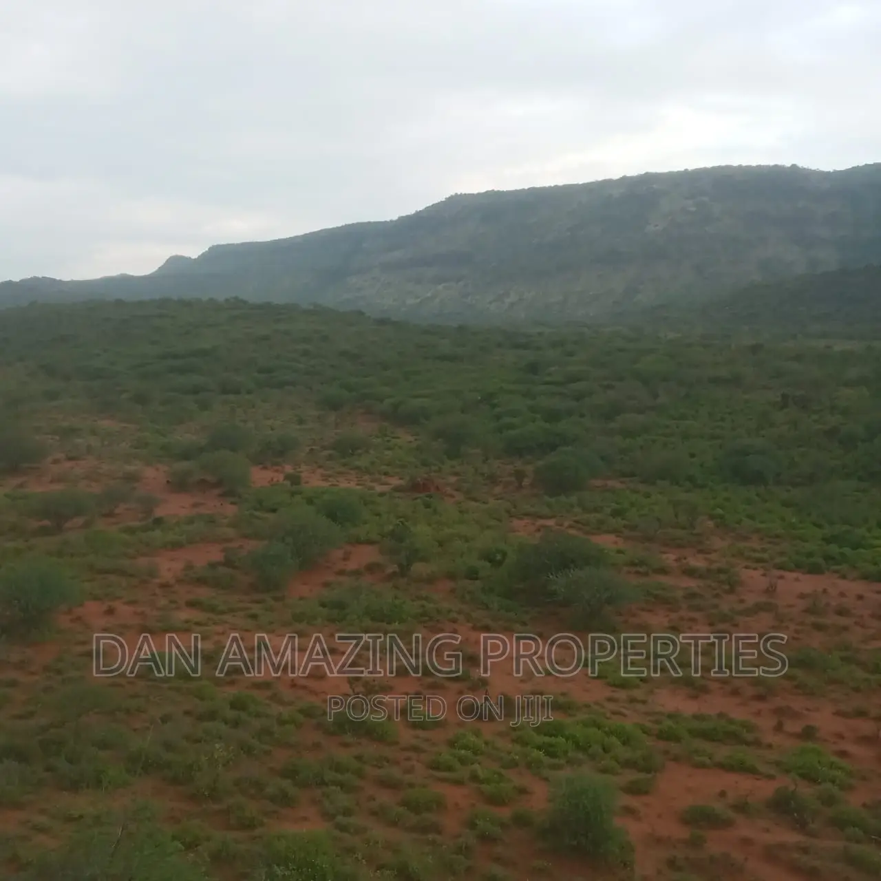 15 Acres for Sale in Ngong Saikeri in Ewaso Kendong Land & Plots for Sale, Daniel Kivango