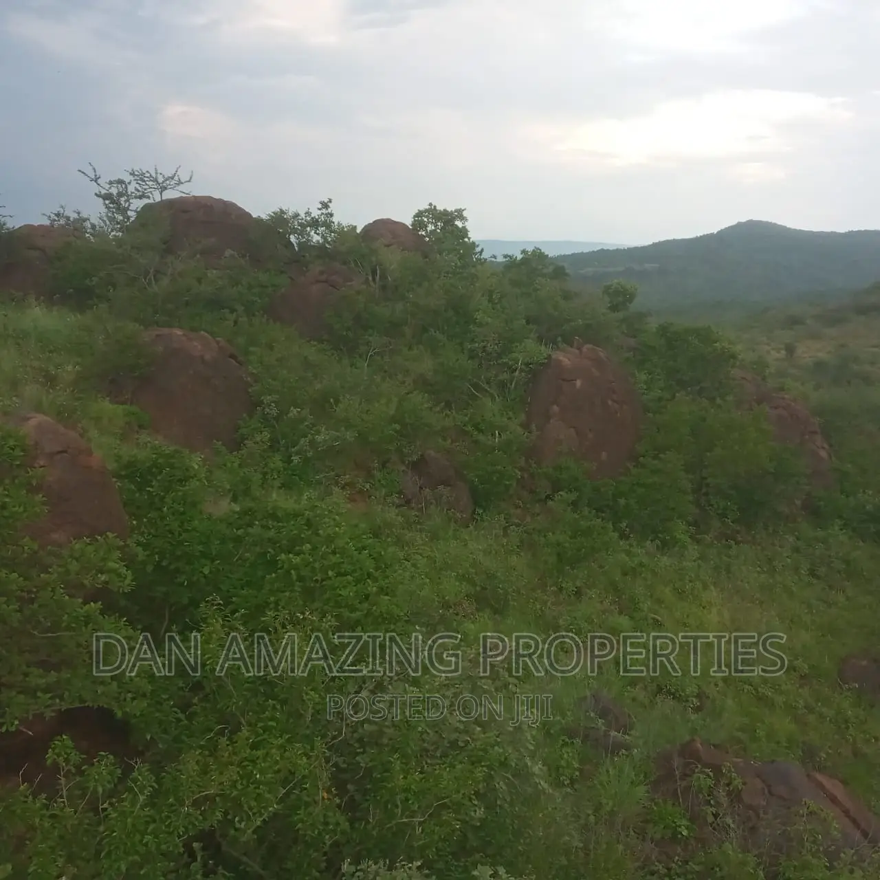 15 Acres for Sale in Ngong Saikeri in Ewaso Kendong Land & Plots for