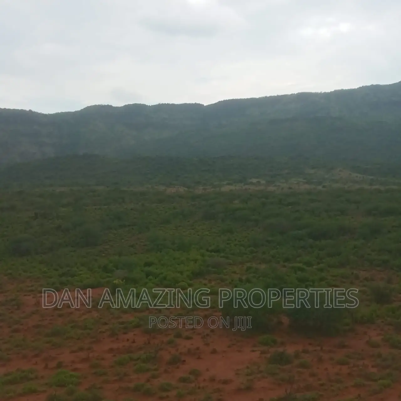 15 Acres for Sale in Ngong Saikeri in Ewaso Kendong Land & Plots for Sale, Daniel Kivango