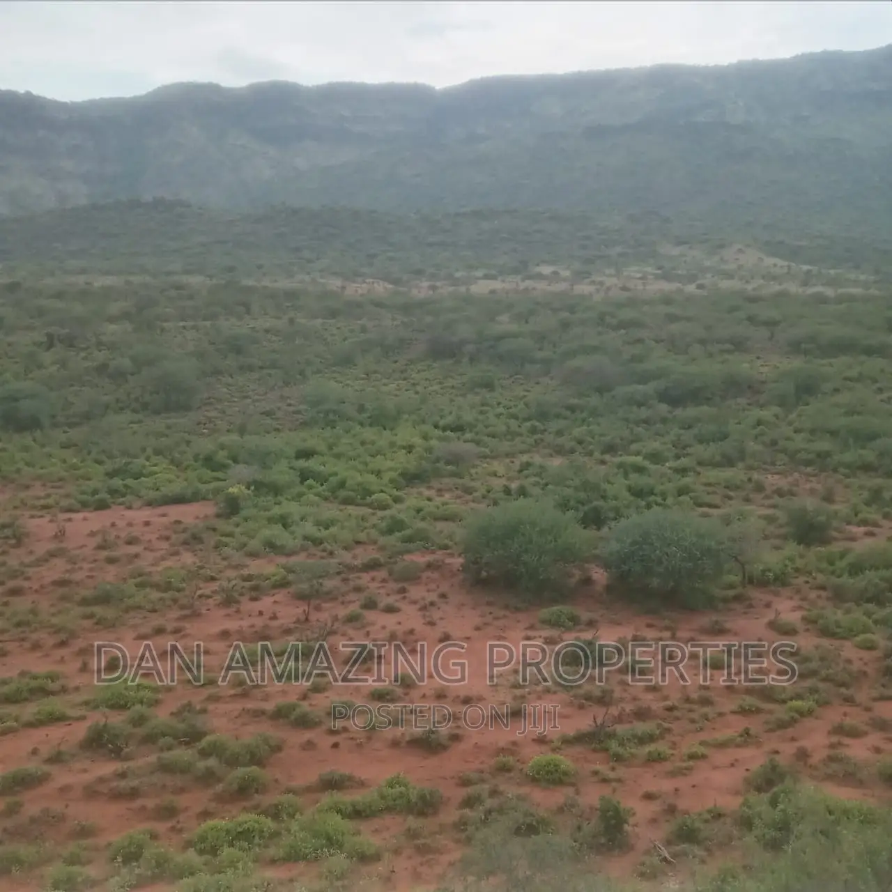 15 Acres for Sale in Ngong Saikeri in Ewaso Kendong Land & Plots for Sale, Daniel Kivango