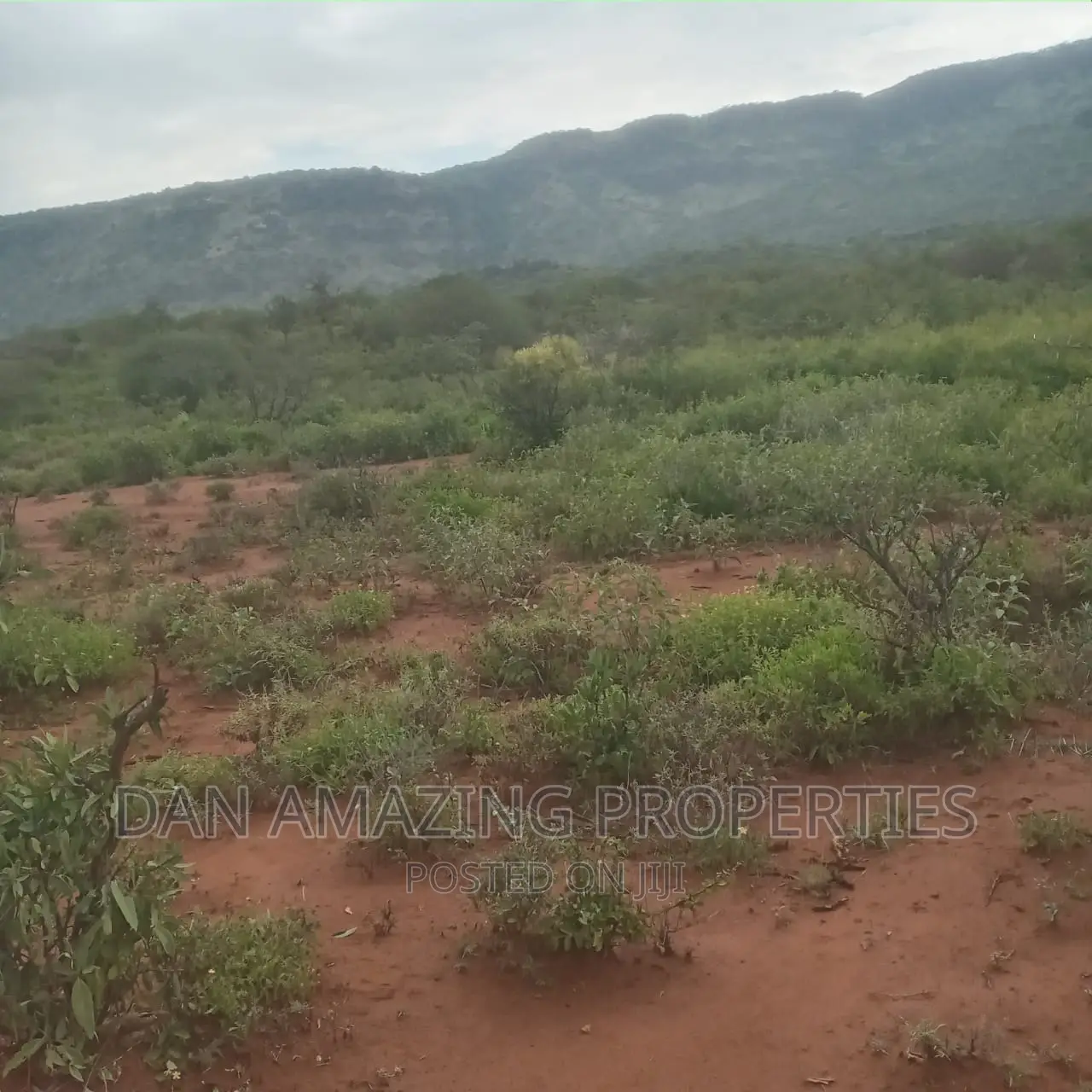 15 Acres for Sale in Ngong Saikeri in Ewaso Kendong Land & Plots for Sale, Daniel Kivango