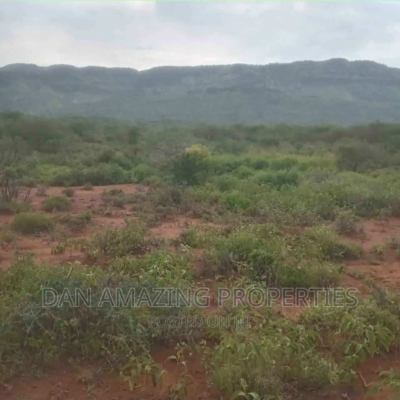 15 Acres for Sale in Ngong Saikeri in Ewaso Kendong Land & Plots for Sale, Daniel Kivango