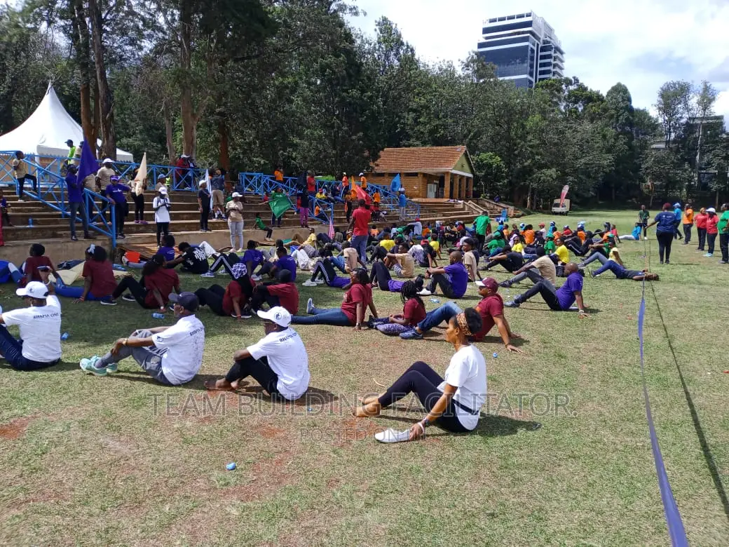 Team Building Facilitator