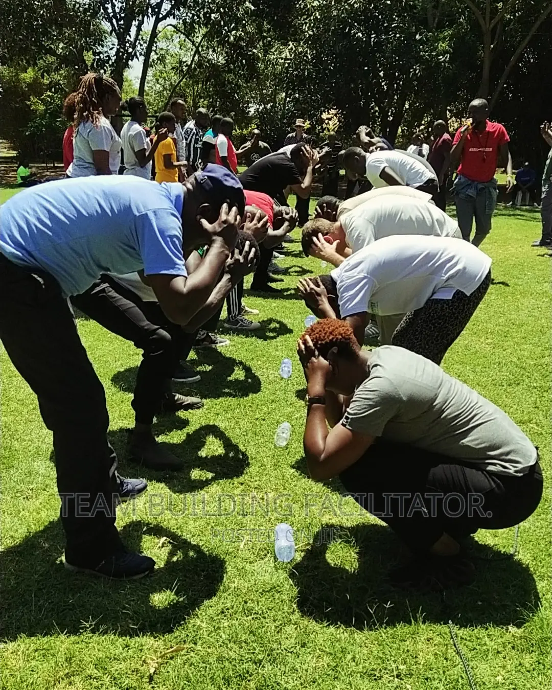 Team Building Facilitator