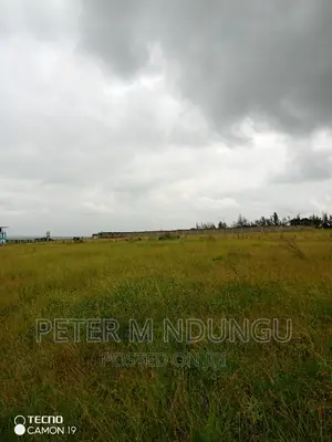 Plots on Sale, Joska