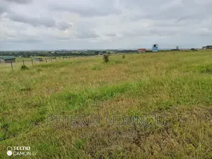Plots on Sale, Joska