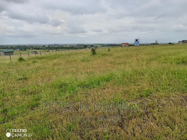 Plots on Sale, Joska - thumbnail 5