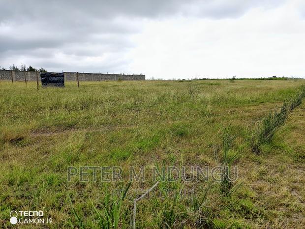 Plots on Sale, Joska - thumbnail 8