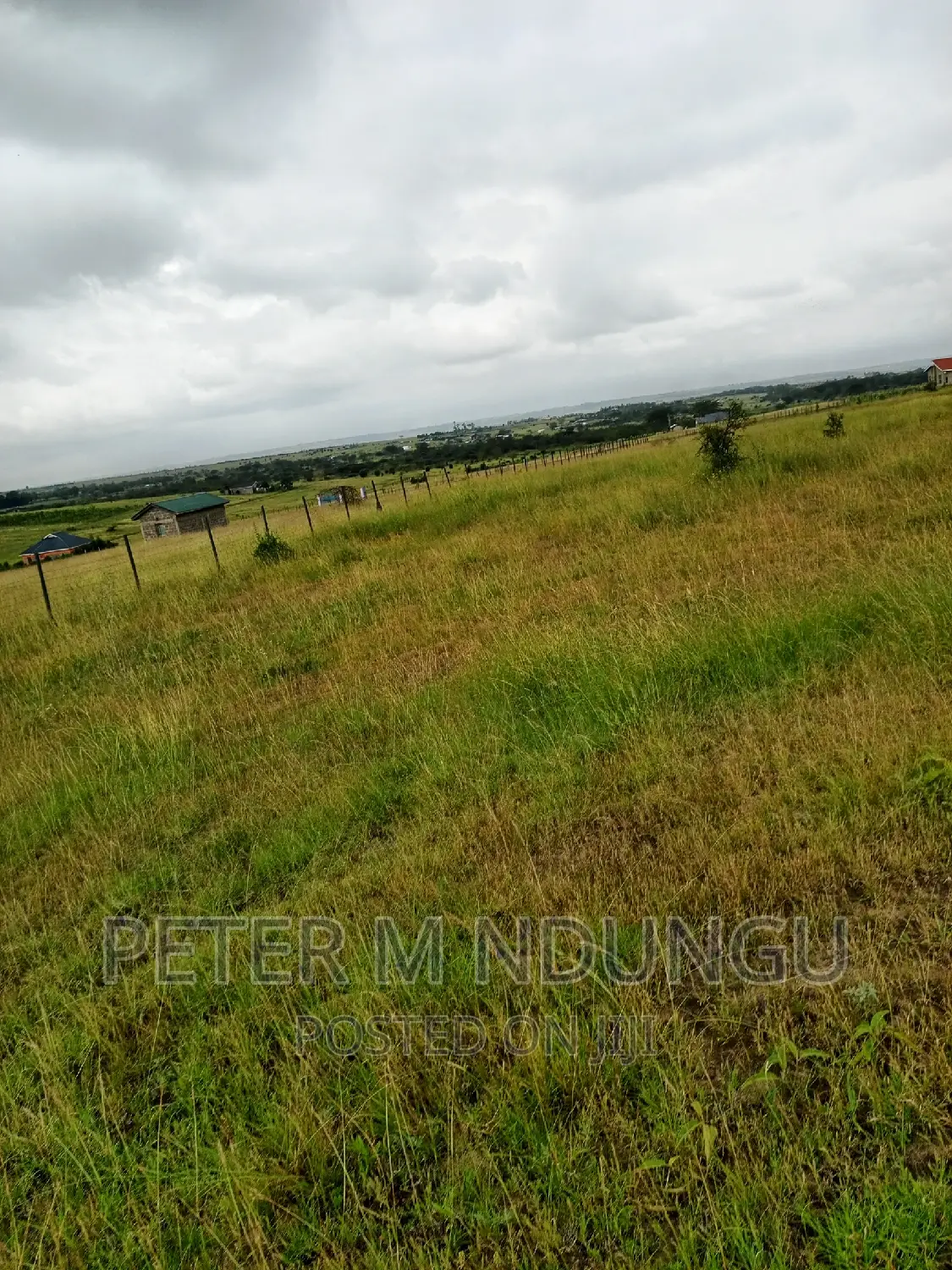 Plots on Sale, Joska