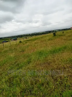 Plots on Sale, Joska