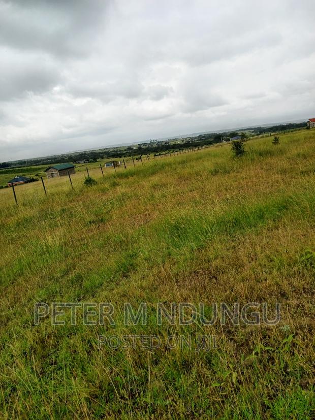 Plots on Sale, Joska - thumbnail 6