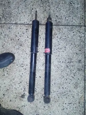 Rear Shocks Landcruiser 100 Series