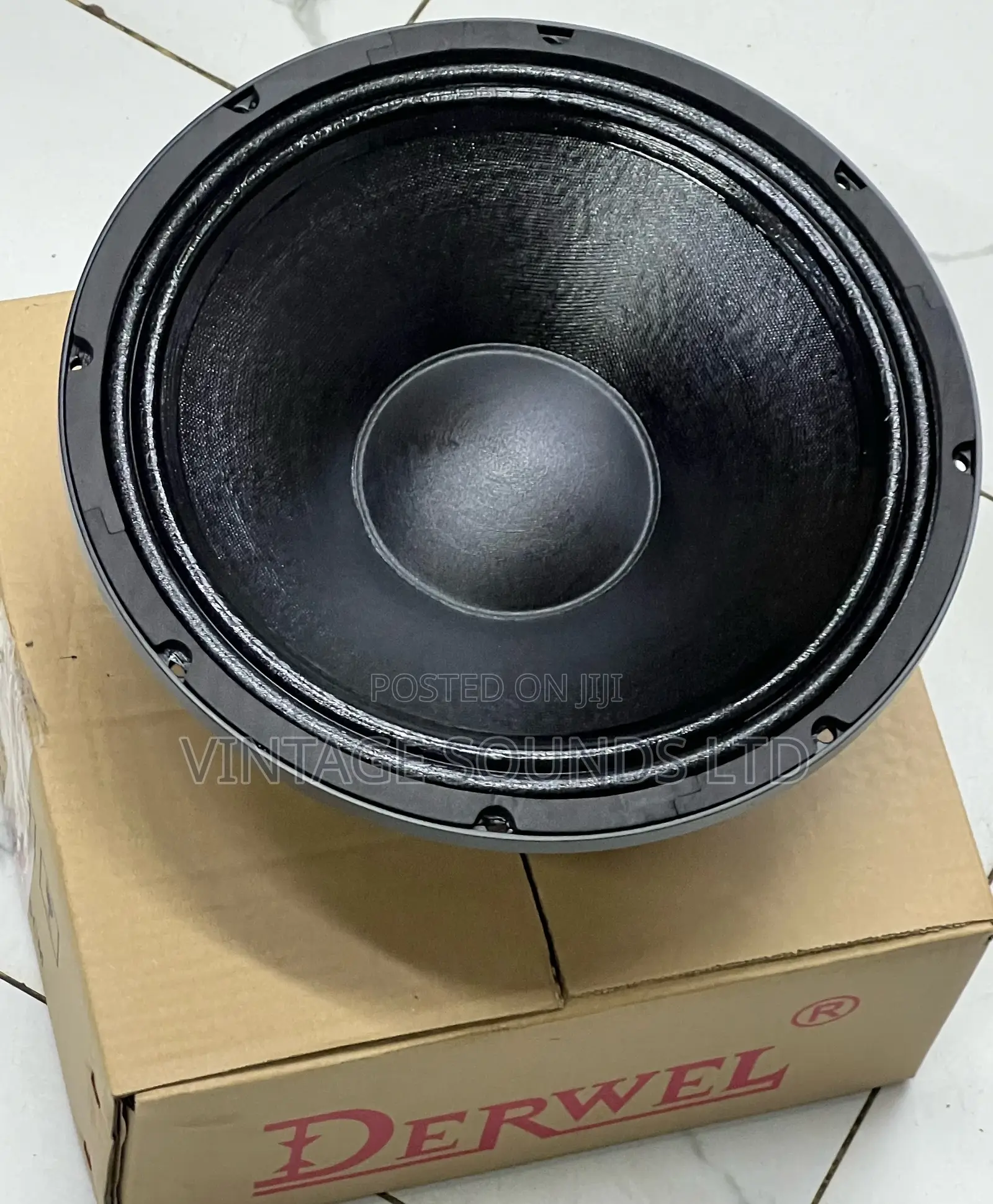 12”Derwel Loudspeaker Model No. 12dl202