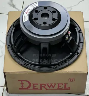 Derwel 12 Inch Loud Speaker Model 12DL202