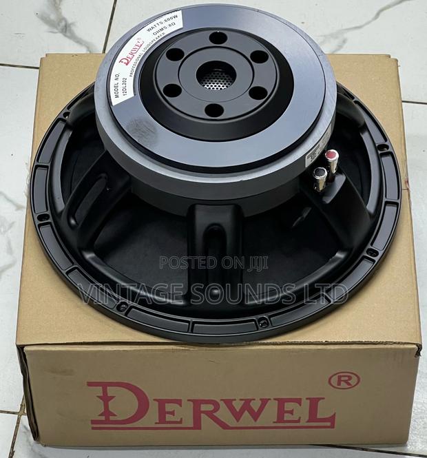 Derwel 12 Inch Loud Speaker Model 12DL202