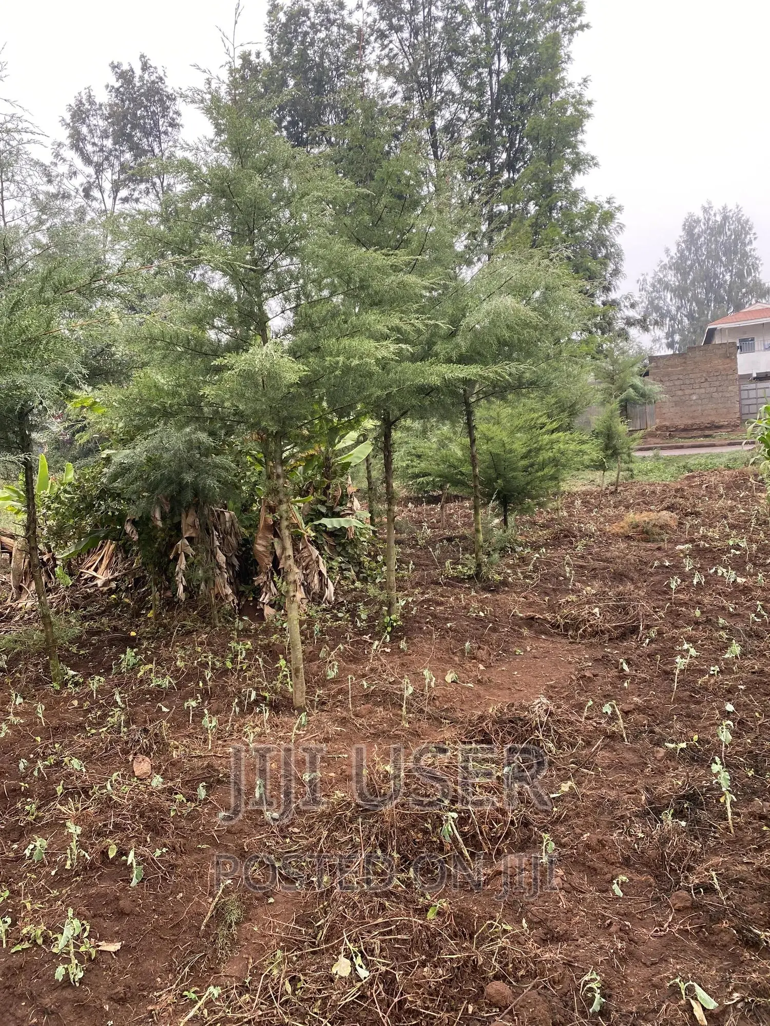 1 or 2 Acre Parcel Close to Sigona Golf Club