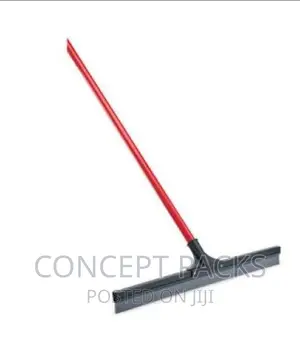17" Floor Squeegee With Handle